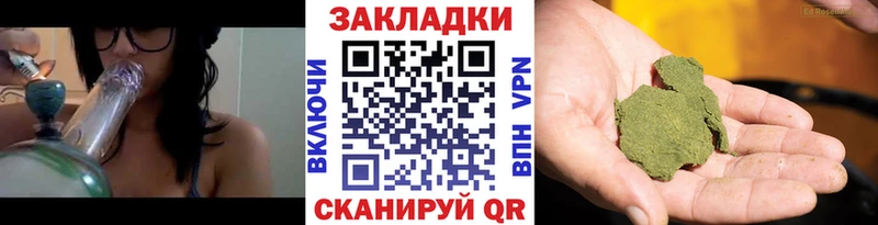 Купить наркотик Шенкурск Гашиш  Бошки Шишки  КОКАИН  Меф 