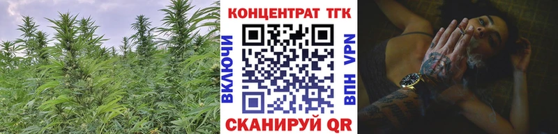 Дистиллят ТГК Wax  Шенкурск 