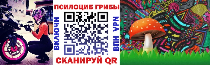 Галлюциногенные грибы Psilocybe  KRAKEN tor  Шенкурск 