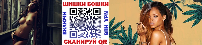 где купить наркоту  Шенкурск  Бошки марихуана сатива 
